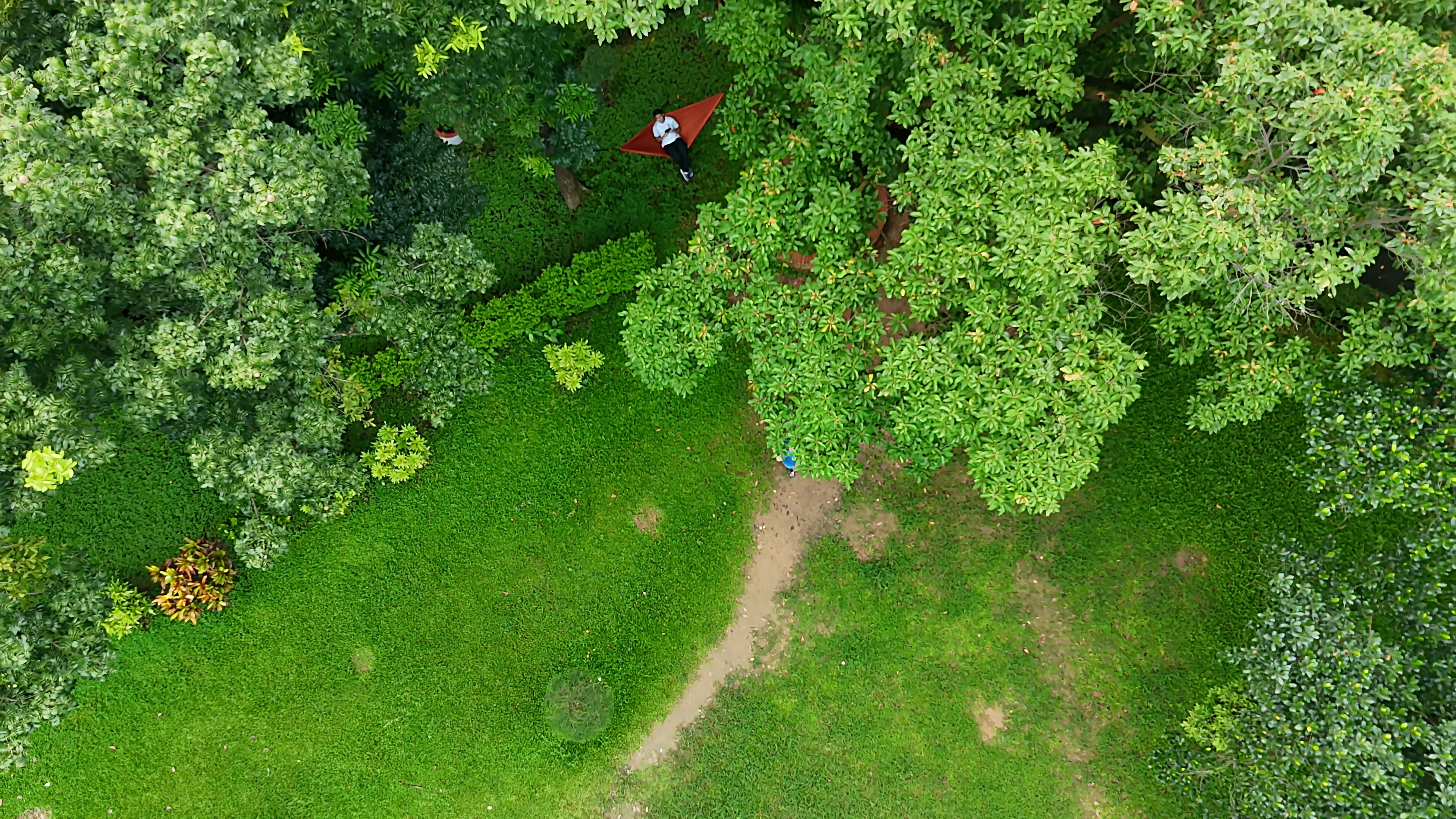 Amidst Nature